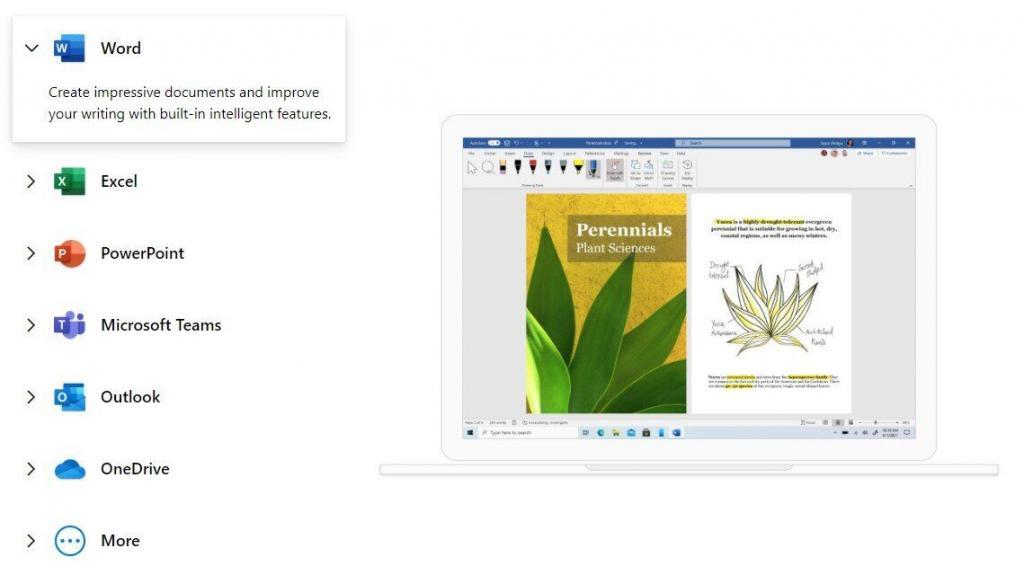 Microsoft Office 365 package